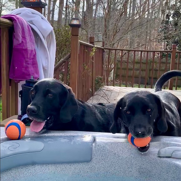 Meet your Posher, Nancy - Picture 2 of 8